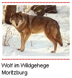 Logo (c) Wildgehege Moritzburg